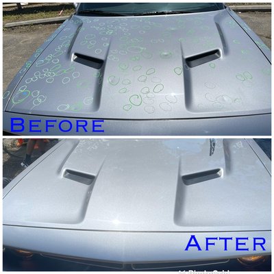 Completely restored the original integrity without repainting, keeping the value of the vehicle intact.