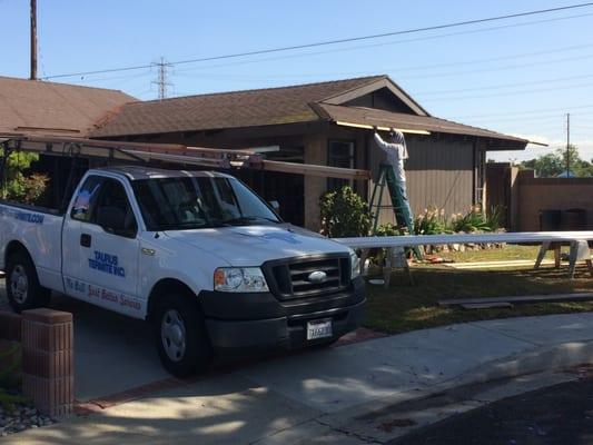 Roof sheathing and facia board replacement by Taurus Termite carpenters