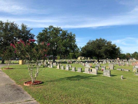 Holy Cross Catholic Cemetery - July 2018