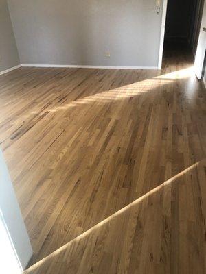 Another picture of our finished hardwood floors.