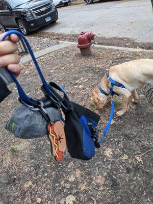 Out with Chicago Dogs and our new Poo Buddies from Woof + Wonder