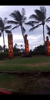 The Polynesian center