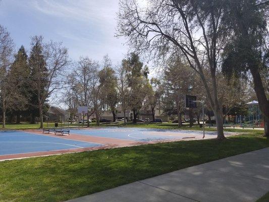 Basketball courts