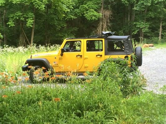 Love this Jeep!  Made our trip to the Smokies even more magical with the top down!