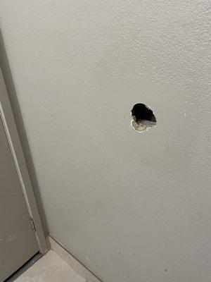 Hole in the wall in the bathroom.