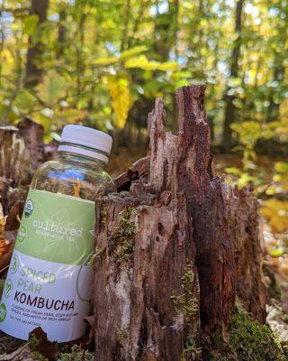 Cultured Kombucha