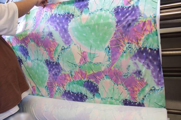 Bathing suit fabric