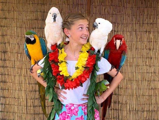 Awesome memories from Parrotdise Hawaii fun photos!