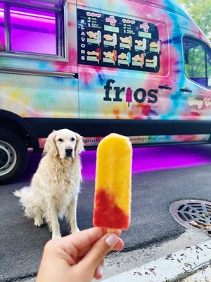 Frios Gourmet Pops - Chicago