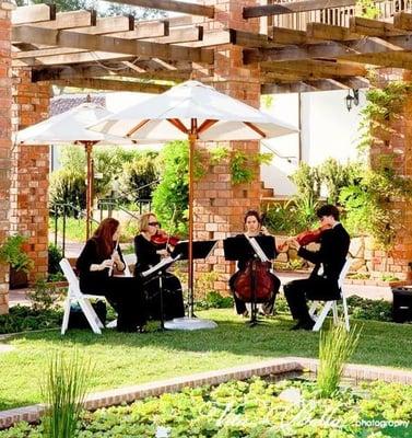 The Aurora Ensemble flute quartet (flute, violin, viola, cello), Belmond El Encanto, Santa Barbara. Photo credit, Vita-Bella Photography.