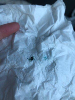 The fly chunk I found