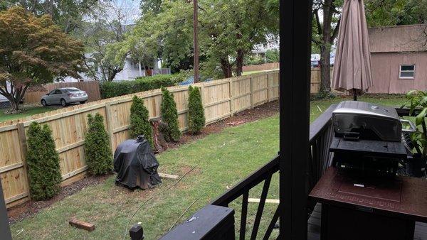 Replaced Yard Fence