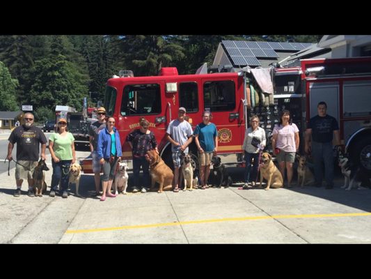 Group obedience class doing a in town walk working on socialization.