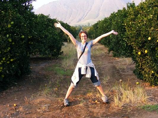 Wicky Up Ranch - Organic Orange Groves