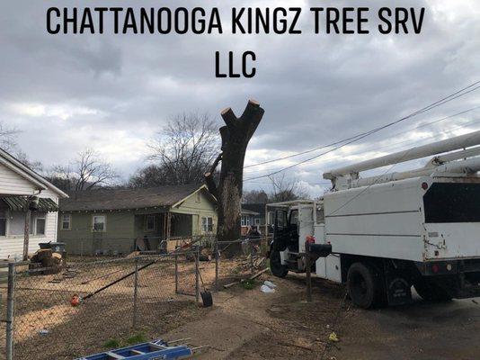 Chattanooga Kingz Tree Service