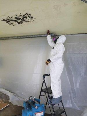 Mold Remediation in garage ceiling from bathroom drain.