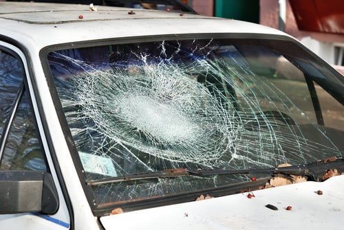 Great Lakes Auto Glass Hustisford Broken Windshield