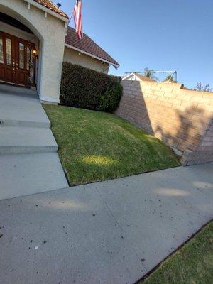 Before turf removal and drought tolerant plants installation