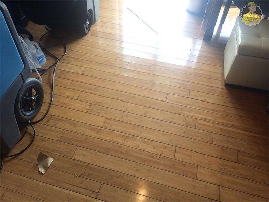 Hardwood floor cleaning