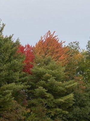 Maine is beautiful in the fall!