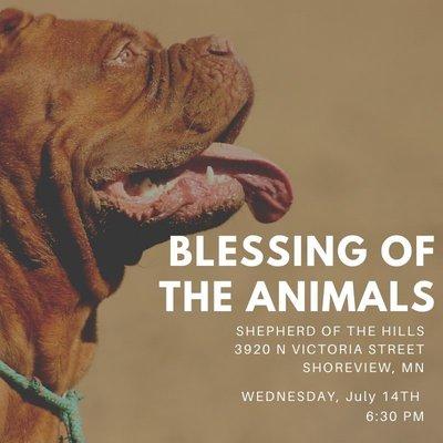 Outdoor Service for Blessing of the Animals 2021