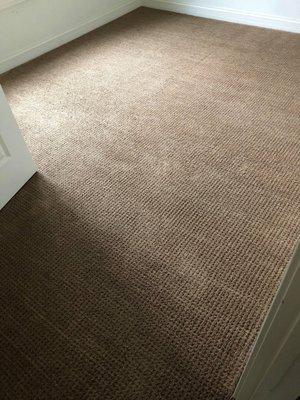 Carpet Cleaning