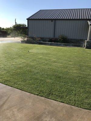 Sod and irrigation