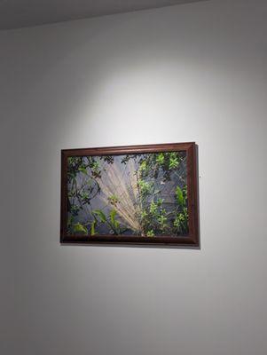 My friend Christy's photo in a show at the gallery