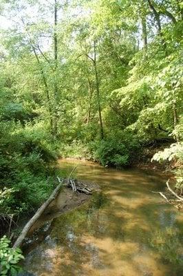 View from one of the bridges.