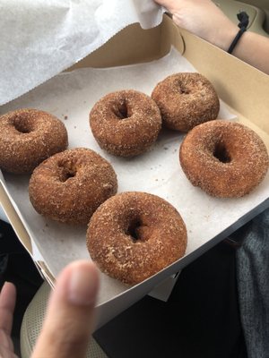 Apple cider donuts