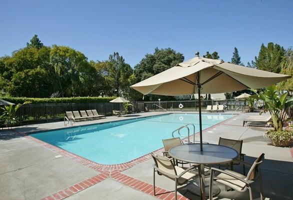 Relax by the Pool