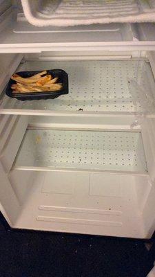 French fries from last guest still in mini fridge.