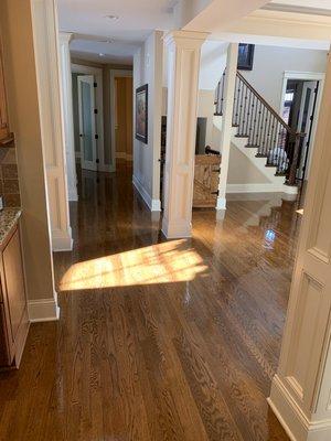 Hardwood floor refinish!!