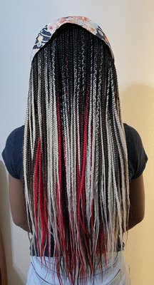 Long box braids multiple colors