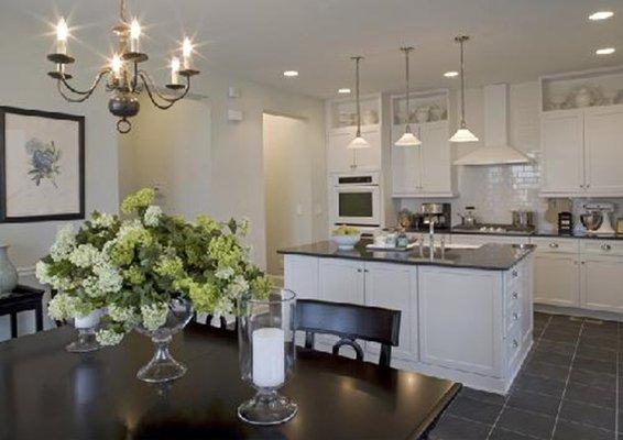 Lilac white with onyx accents - Kitchen Remodel