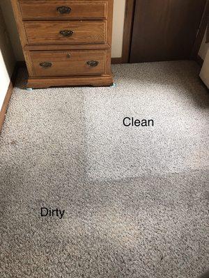 14 year old carpet cleaned up nice!