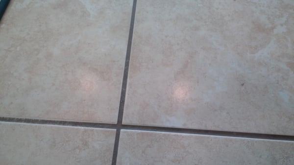 Got Dirty Grout?