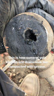 Slow draining? Got grease?