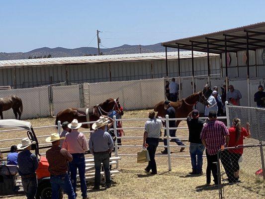 Sonoita Fairgrounds