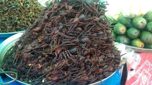 Cambodia 2018: Platter of Fried tarantella-quite the delicacy there