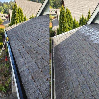 Legacy Gutter Cleaning