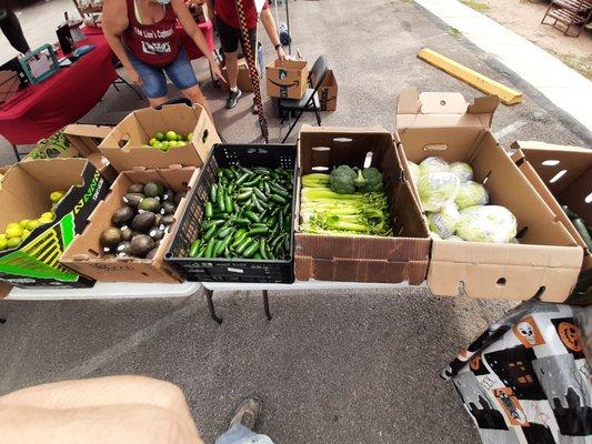 Lago Vista Farmer's Market