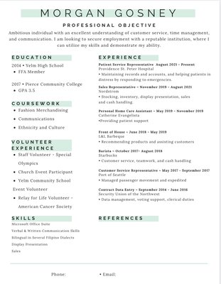 Resume Example