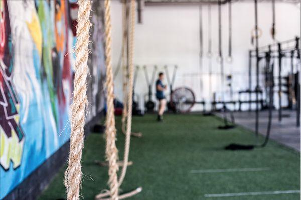 The ROPES! @ New Species CrossFit in Royal Oak, Mi