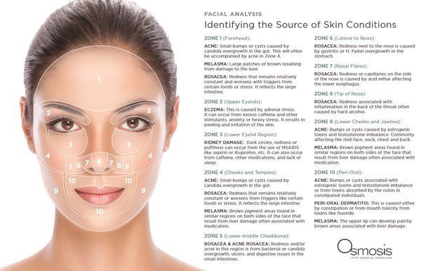 Holistic Face mapping using Osmosis Skin Care