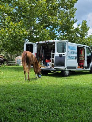 Our customers horse wanted to help.