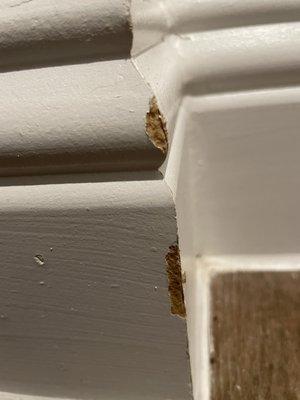 Damaged baseboards from delivery cart