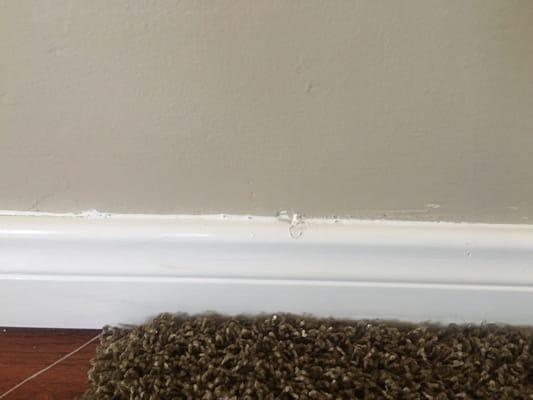 Brand new baseboards with gloppy paint drips and balled up caulking with dry paint brush streaks throughout