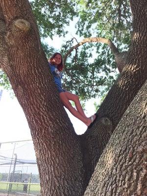 This park has little monkeys. You can get them to come out of the trees if you throw hamburgers and fries at them. ;)