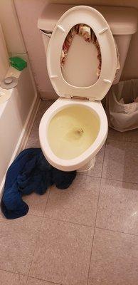 This is a picture of my clogged toilet.